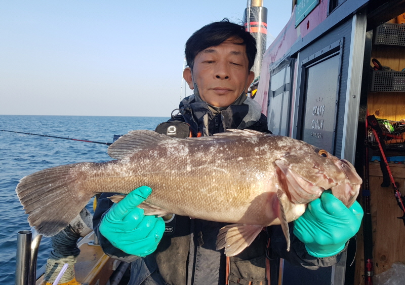 뉴신정호 조황갤러리입니다.