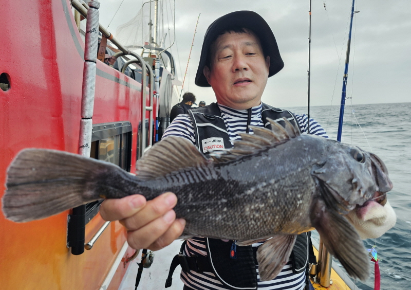 뉴신정호 조황갤러리입니다.