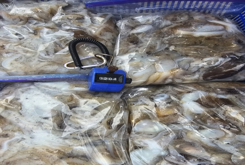 뉴신정호 조황갤러리입니다.