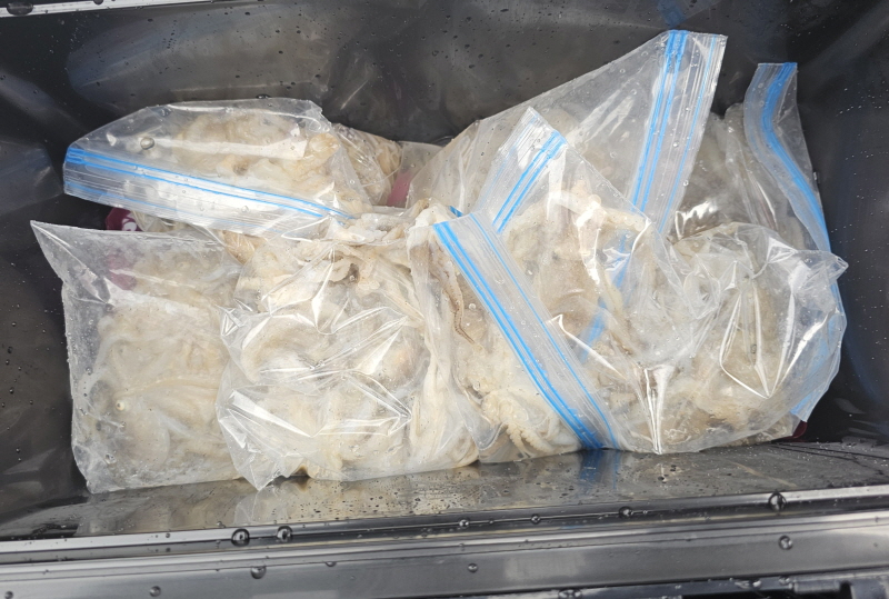 뉴신정호 조황갤러리입니다.