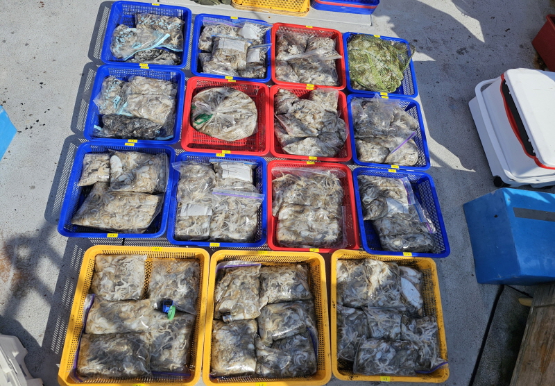 뉴신정호 조황갤러리입니다.