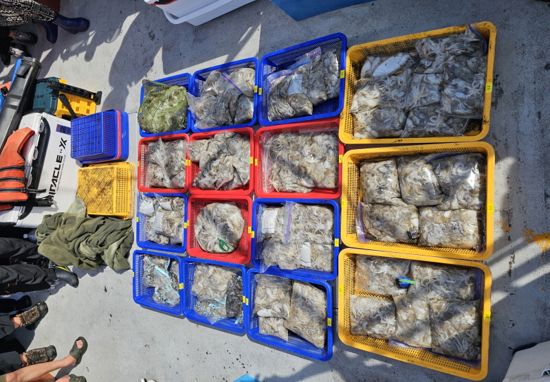 뉴신정호 조황갤러리입니다.