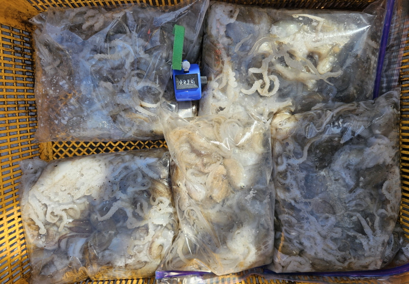 뉴신정호 조황갤러리입니다.