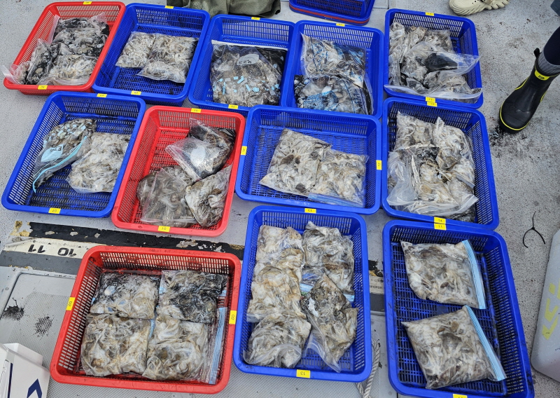 뉴신정호 조황갤러리입니다.