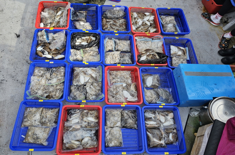 뉴신정호 조황갤러리입니다.