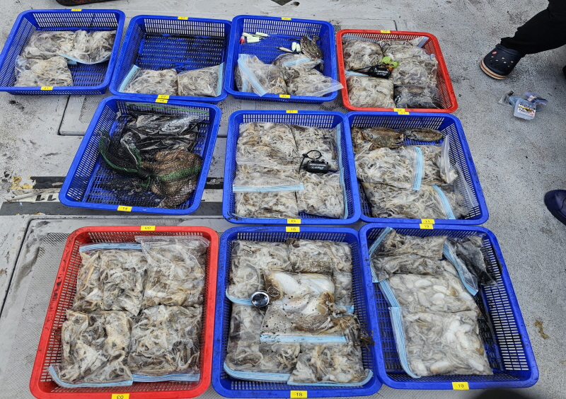 뉴신정호 조황갤러리입니다.