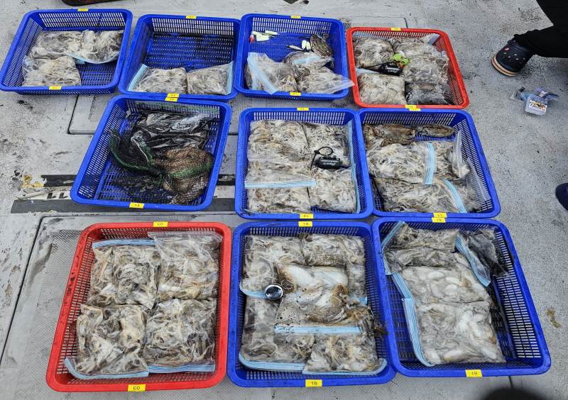 뉴신정호 조황갤러리입니다.