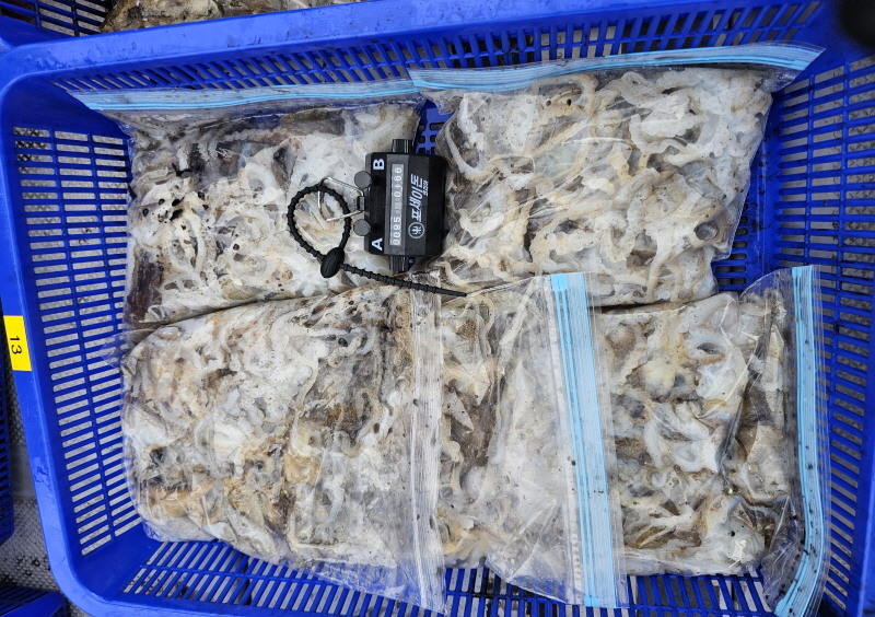 뉴신정호 조황갤러리입니다.