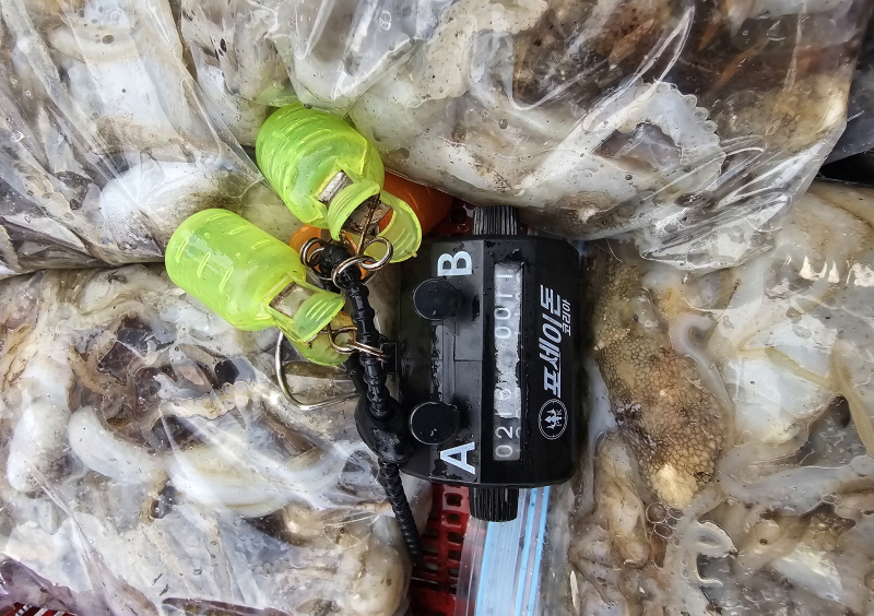 뉴신정호 조황갤러리입니다.