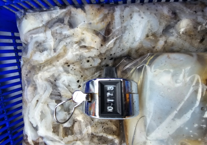 뉴신정호 조황갤러리입니다.