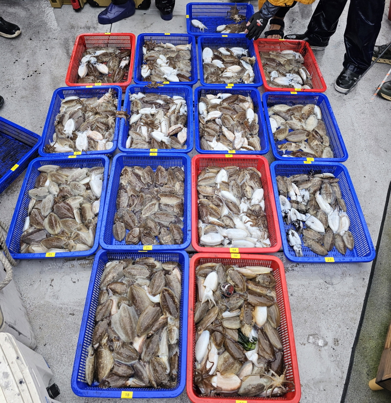 뉴신정호 조황갤러리입니다.