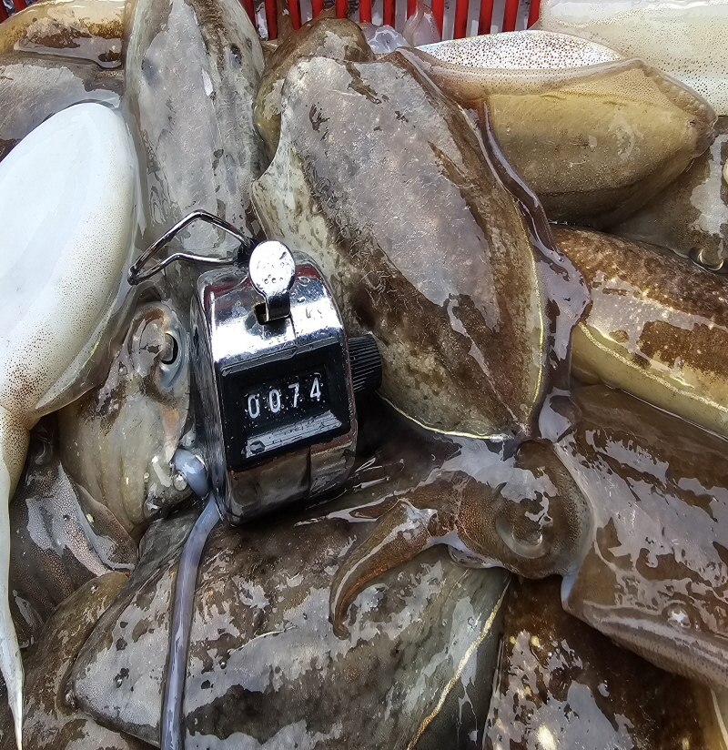 뉴신정호 조황갤러리입니다.