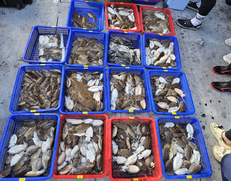 뉴신정호 조황갤러리입니다.