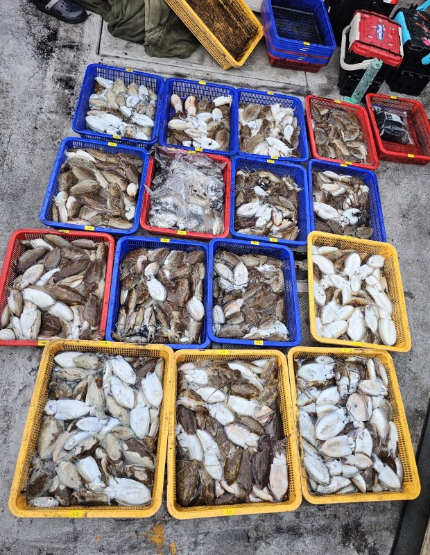 뉴신정호 조황갤러리입니다.