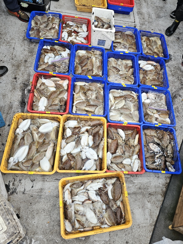 뉴신정호 조황갤러리입니다.