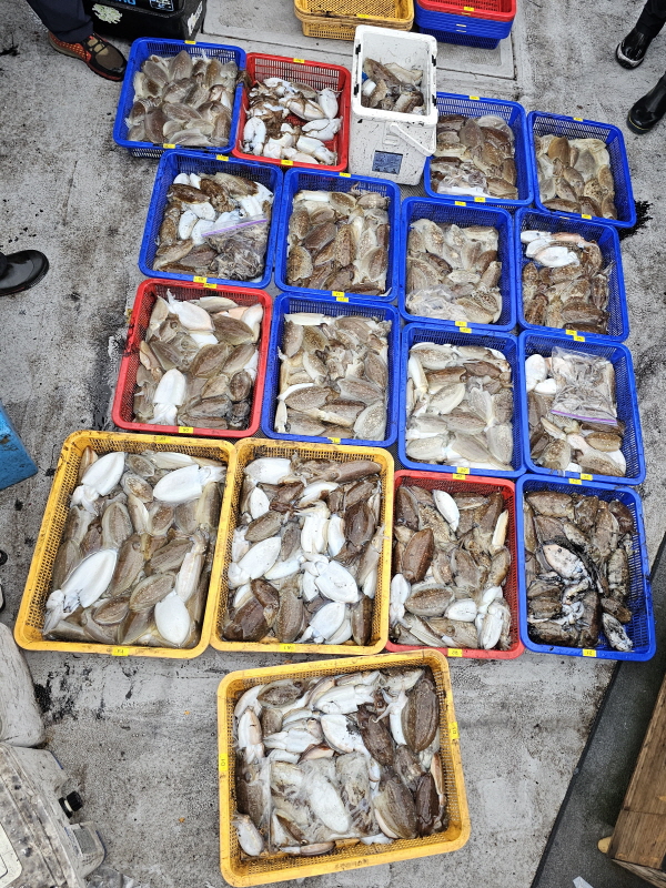 뉴신정호 조황갤러리입니다.