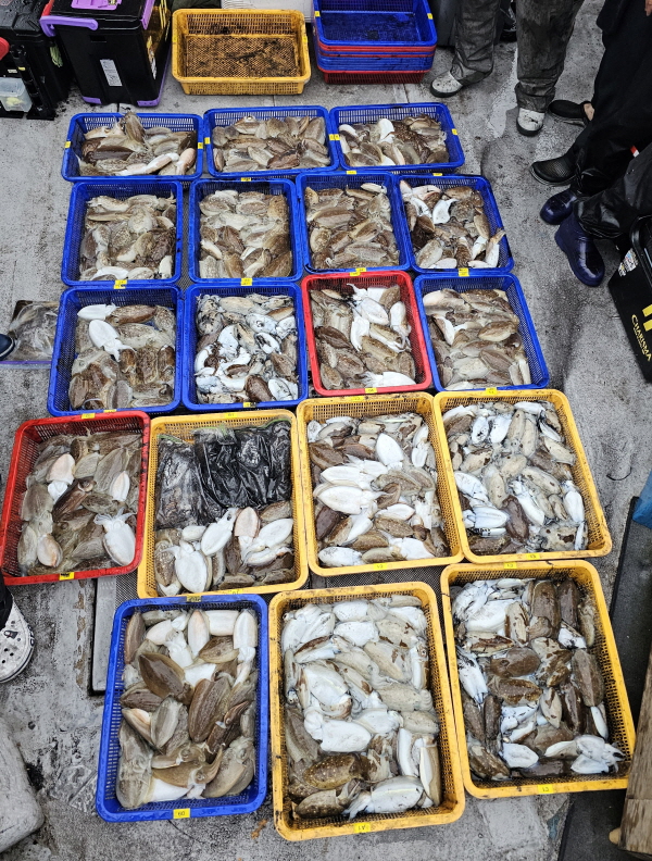 뉴신정호 조황갤러리입니다.