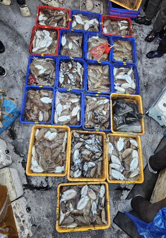 뉴신정호 조황갤러리입니다.