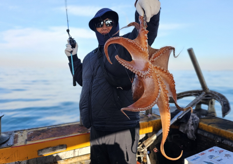 뉴신정호 조황갤러리입니다.