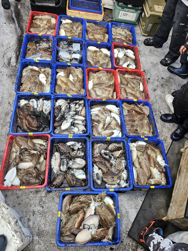 뉴신정호 조황갤러리입니다.