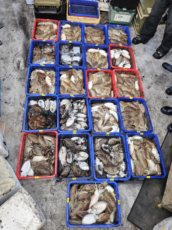 뉴신정호 조황갤러리입니다.