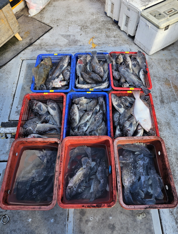 뉴신정호 조황갤러리입니다.