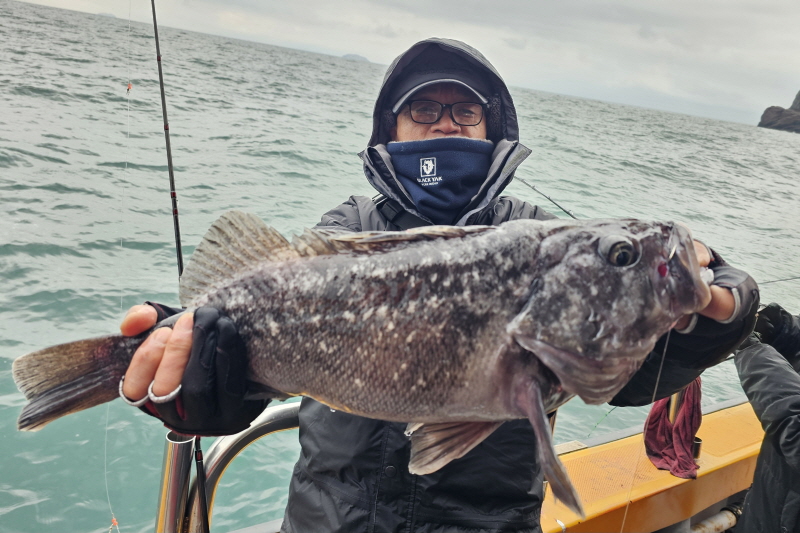 뉴신정호 조황갤러리입니다.