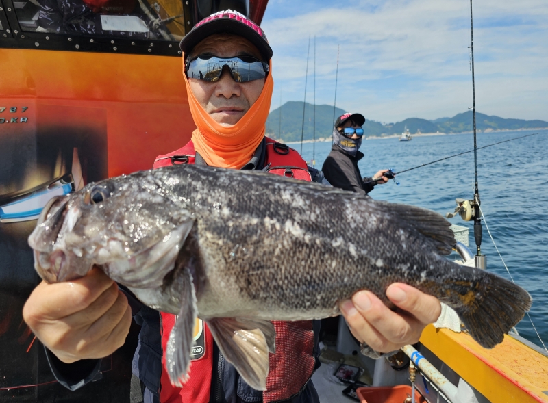 뉴신정호 조황갤러리입니다.